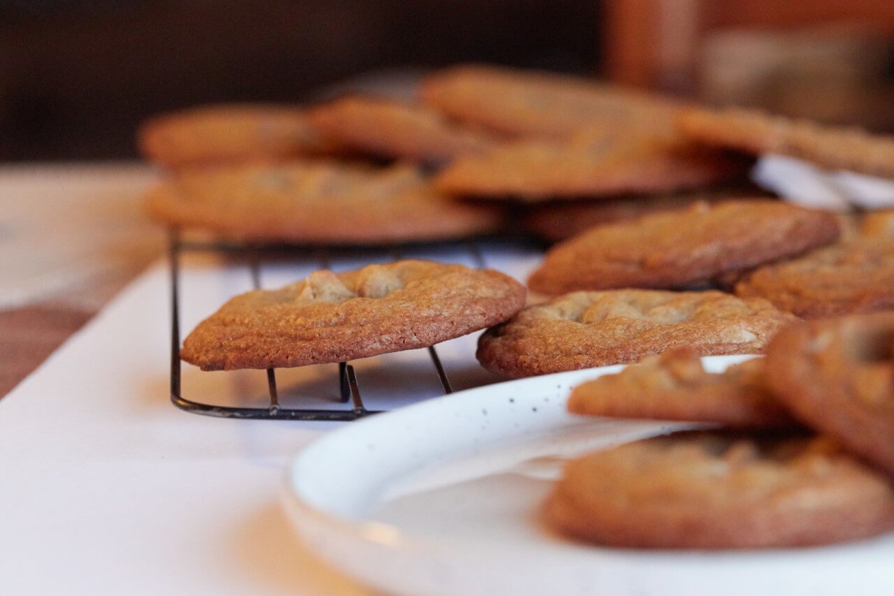 Runaway Gingerbread Man Evades Capture in High-Speed Chase