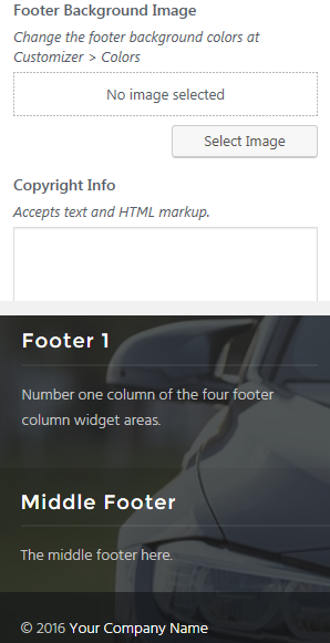 Exoplanet Pro Footer Settings